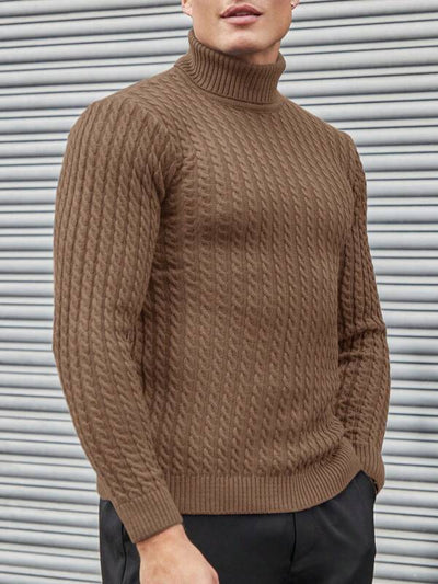 Strukturierter Rollkragen Strickpullover Herren