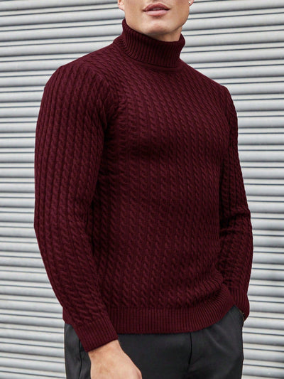 Strukturierter Rollkragen Strickpullover Herren